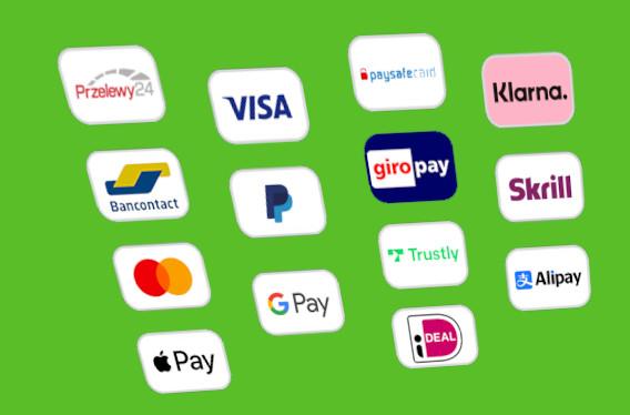 Sistemes de pagament suportats